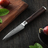 Black Hawk Series 3.5 inch Damascus Steel Paring Knife